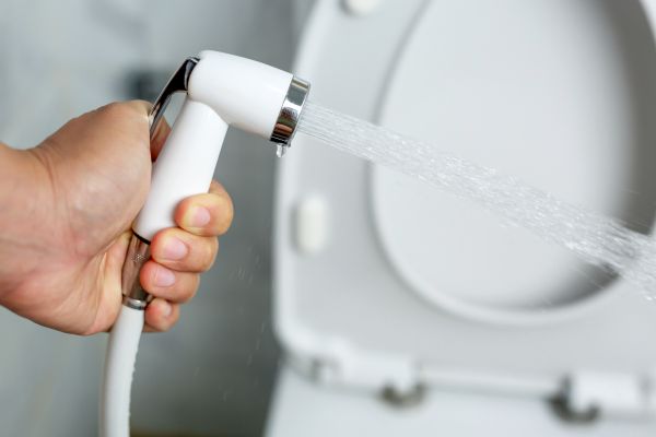 Cost of Bidet Installation in Allen