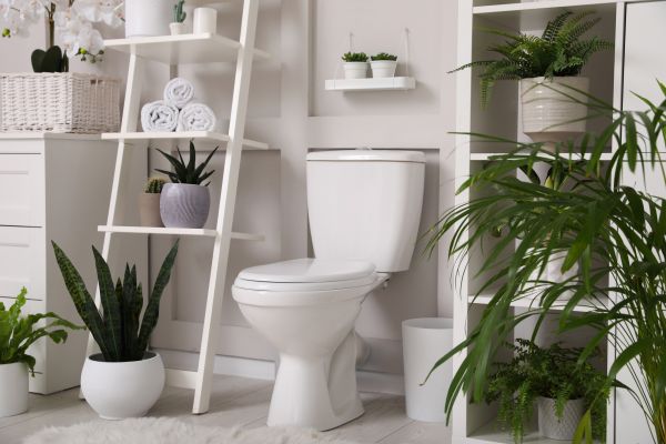 Cost of Toilet Repair in Allen