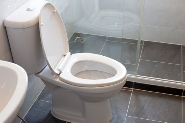 Cost of Toilet Replacement in Allen