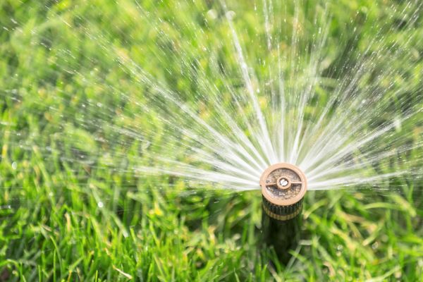 Cost of Spigot Installation in Allen