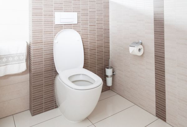 Cost of Toilet Plumbing Installation in Allen